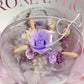 Purple In Acrylic Ball (Preserved)